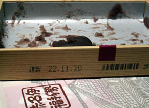 akafuku101121.jpg