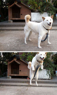 kenta1011061.jpg