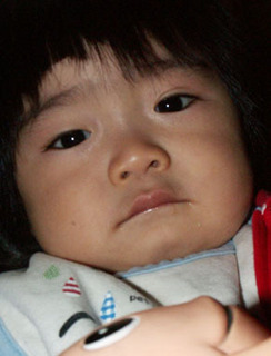 kohta101121.jpg
