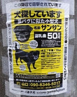 50manen190410.jpg