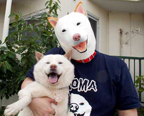 Petkeeper_c160302.jpg