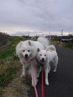 _dote250329a.jpg