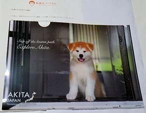 a_file1809151.jpg