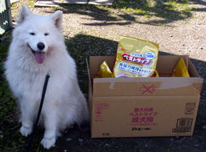 aiken_nike111027.jpg