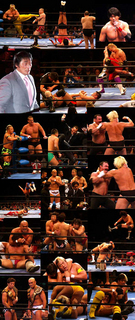 ajpw130317.jpg