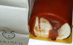 arinco100609.jpg