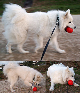 ball_1611013.jpg