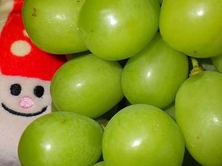 budou2010094.jpg