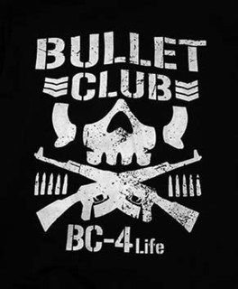 bullet1811062.jpg