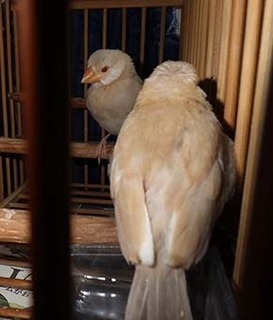buncho1805202.jpg