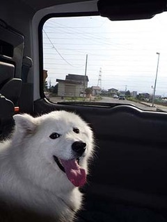 byouin1806092.jpg