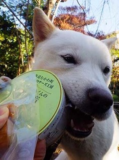 cheeez_g2012072.jpg