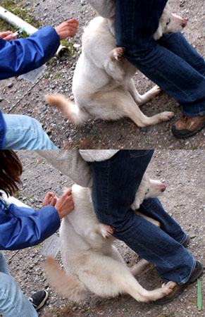 chuusha_k100404.jpg