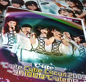 cutenohi091207.jpg