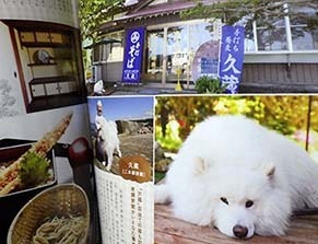 d_seikatsu1801172.jpg