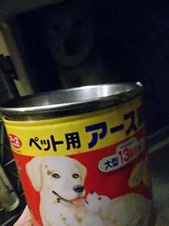 dai2010052.jpg