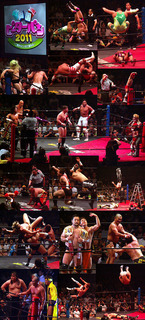 ddt1107241.jpg