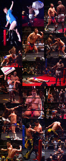 ddt1107242.jpg