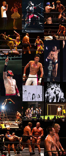 ddt_1208183.jpg