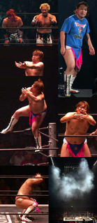 ddt_1208184.jpg