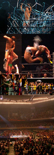 ddt_1208185.jpg