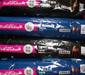 dog_f150519.jpg