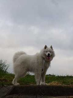 dote2005181.jpg