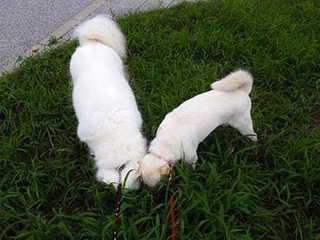 dote2010015.jpg