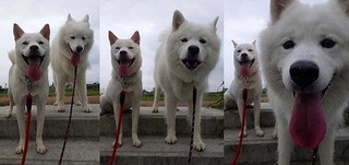 dote2010018.jpg