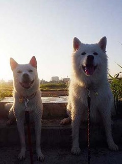 dote2010029.jpg