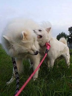 dote2010037.jpg