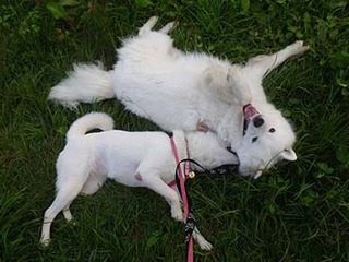 dote2010038.jpg