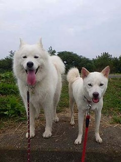 dote2010046.jpg