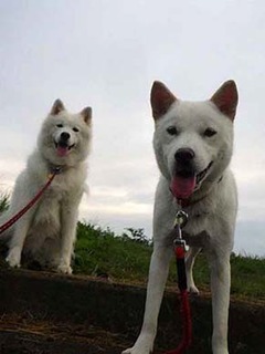 dote2010055.jpg