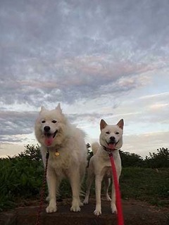 dote2010061.jpg