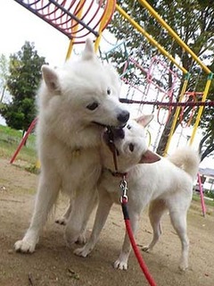dote2010076.jpg