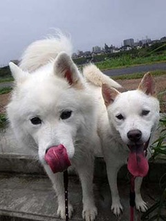 dote2010094.jpg