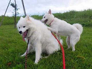 dote2010125.jpg