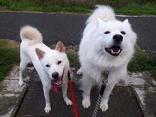 dote2010169.jpg