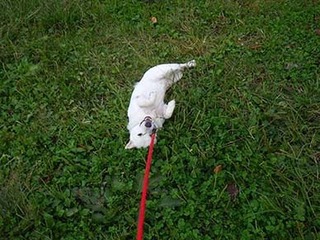 dote2010224.jpg