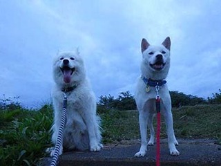 dote2010228.jpg