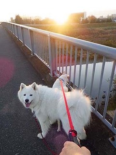 dote2012016.jpg