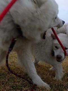 dote2012022.jpg