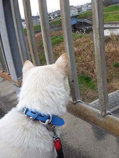 dote2012027.jpg