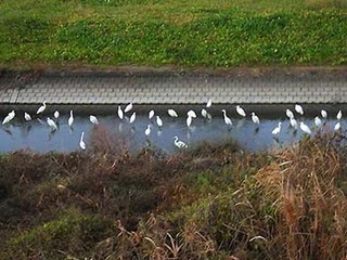 dote2012042.jpg