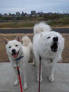 dote2012051.jpg