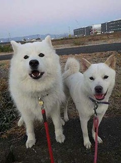 dote2012061.jpg