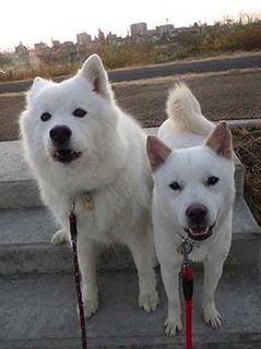 dote2012071.jpg