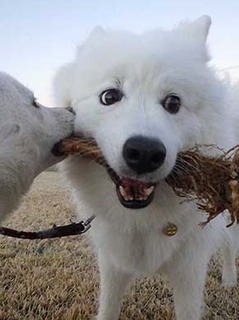 dote2012073.jpg