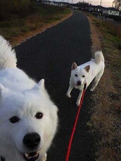 dote2012081.jpg
